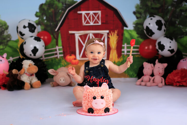 First Birthday Baby Photographer Cake Smash Naperville Chicago Illinois
