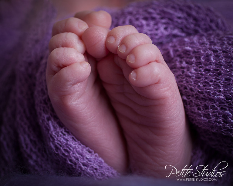 Chicago / Naperville Newborn and Family Photographer Newborn Girl