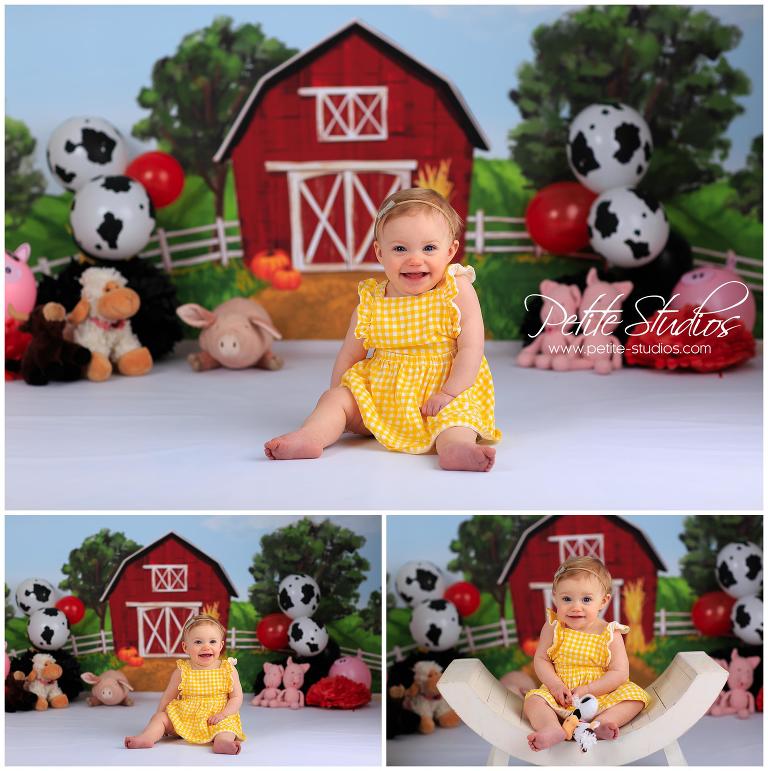 Chicago Cake Smash Photographer Naperville Farm Themed Cake Smash