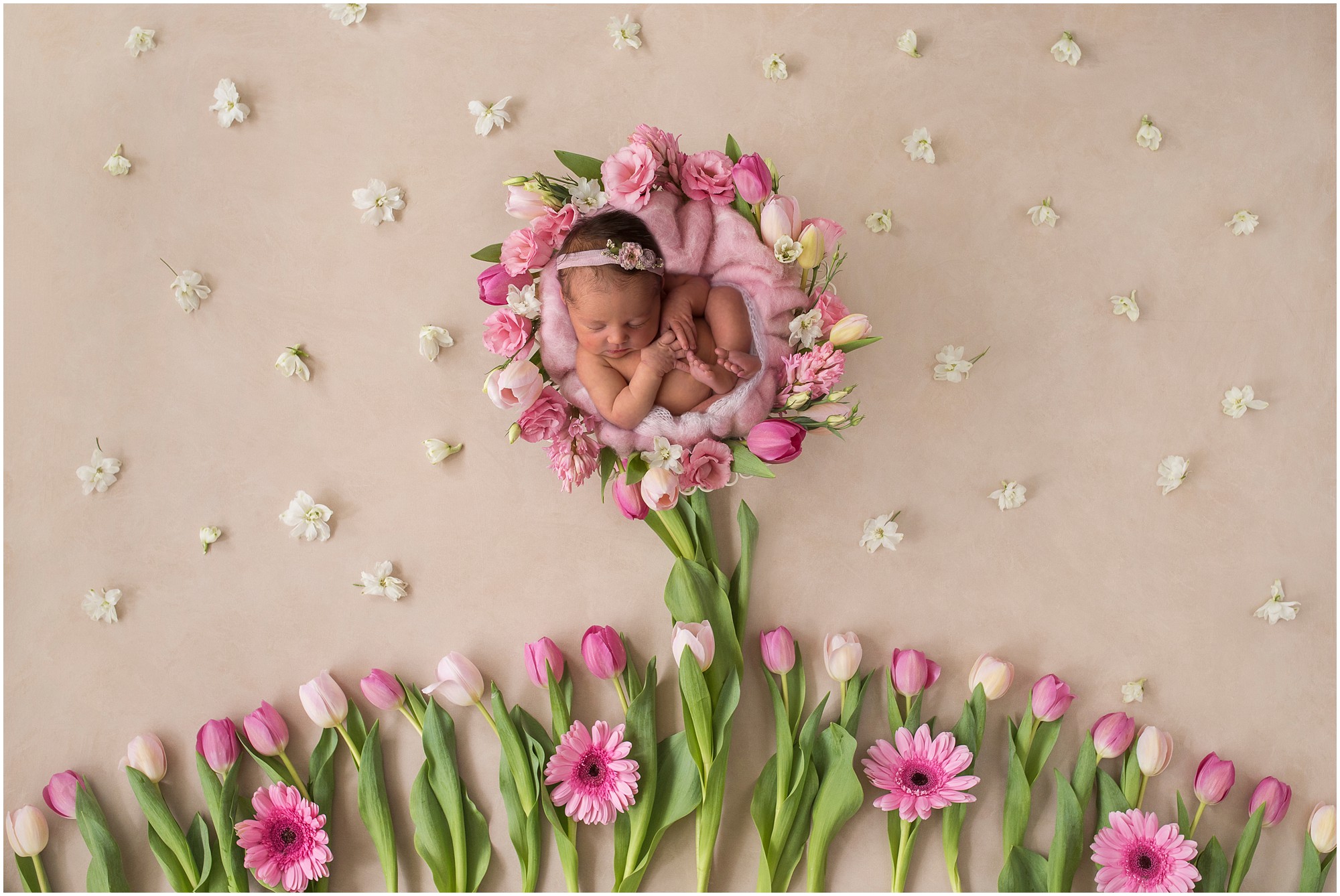 Naperville and Chicago newborn photographer, baby photos, newborn photographer