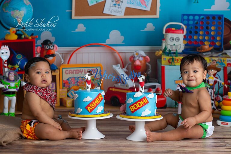 Twins 1st First Birthday Baby Photographer Cake Smash Naperville Chicago Illinois
