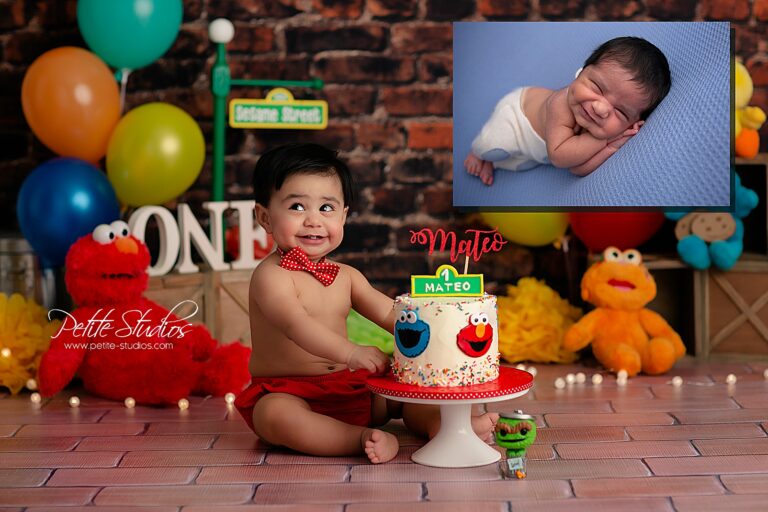 First Birthday Baby Photographer Cake Smash Naperville Chicago Illinois