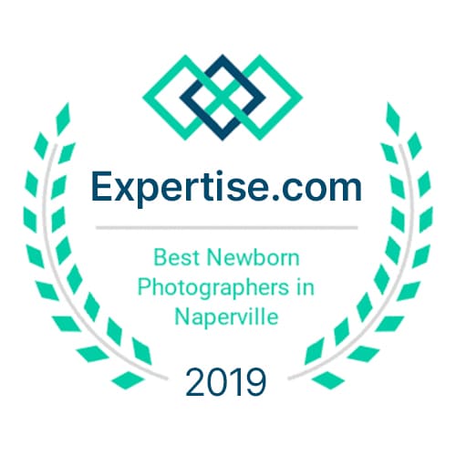 Best Newborn Photographers in Naperville 2019